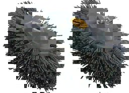 Zeige Details für Zirkularbürste 150mm M14 Korn 60 Bild von Zirkularbürste 150mm M14 Korn 60