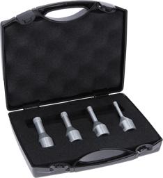 Zeige Details für BOSCH Dry Speed DIA-TB-Set für WS 6/8/10/12 mm Bild von BOSCH Dry Speed DIA-TB-Set für WS 6/8/10/12 mm