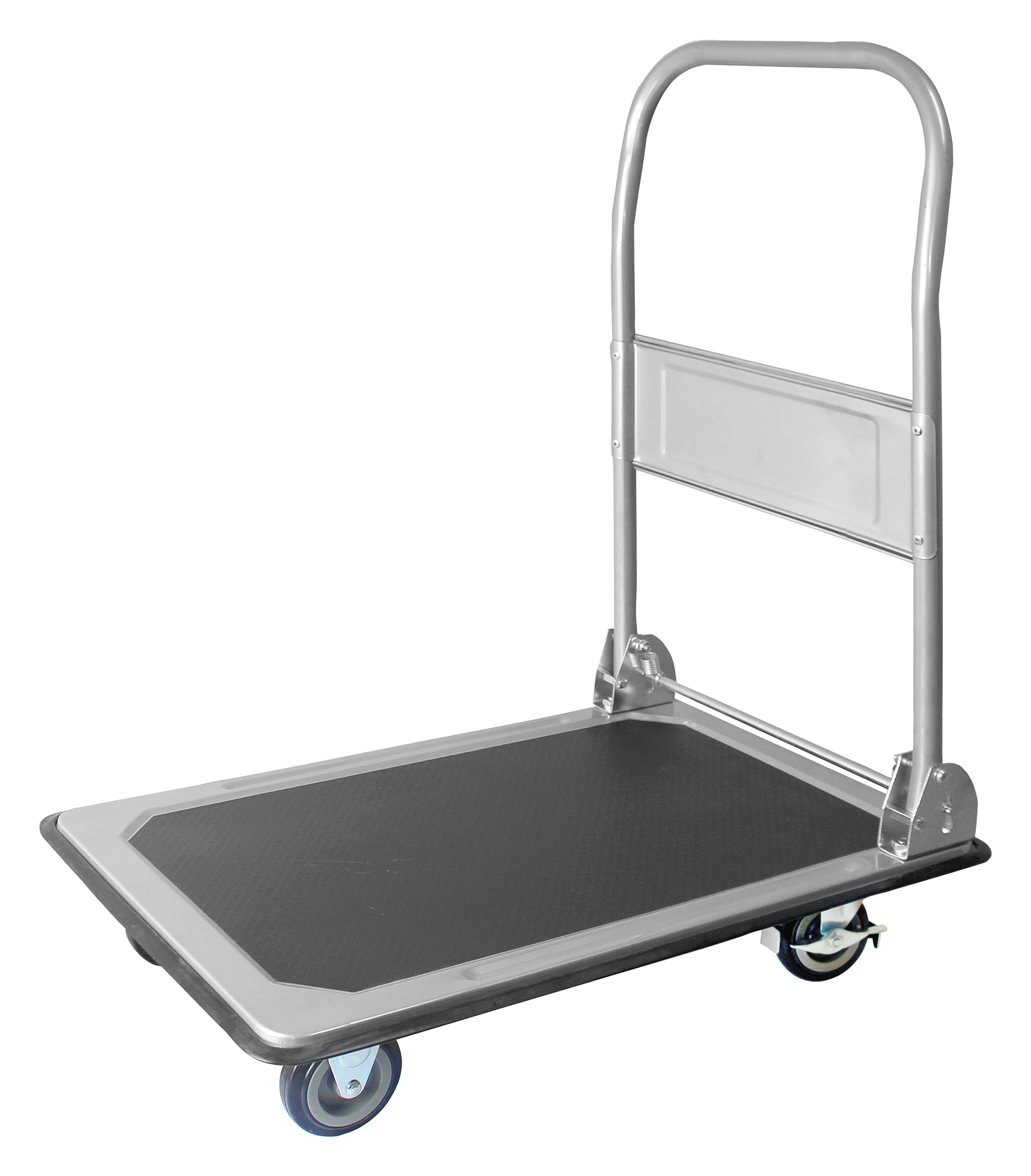 Bild von Plattformwagen 150 kg